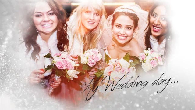 Simple Wedding Slideshow - Download Videohive 7563314