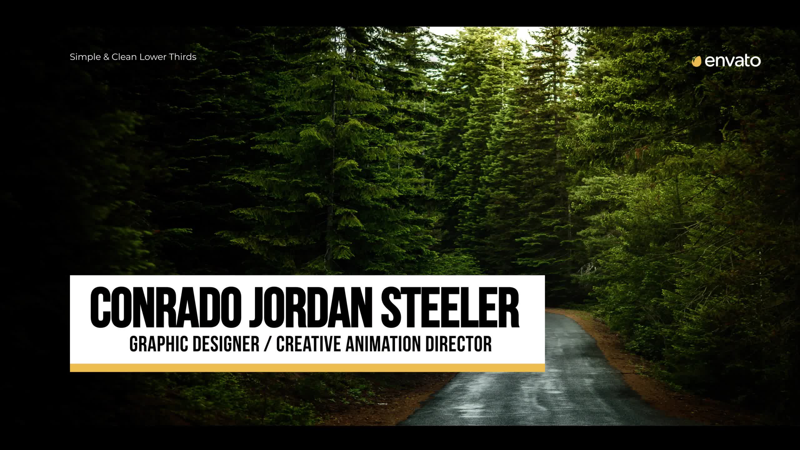 Simplicity Lower Thirds for FCPX Videohive 38579364 Apple Motion Image 9