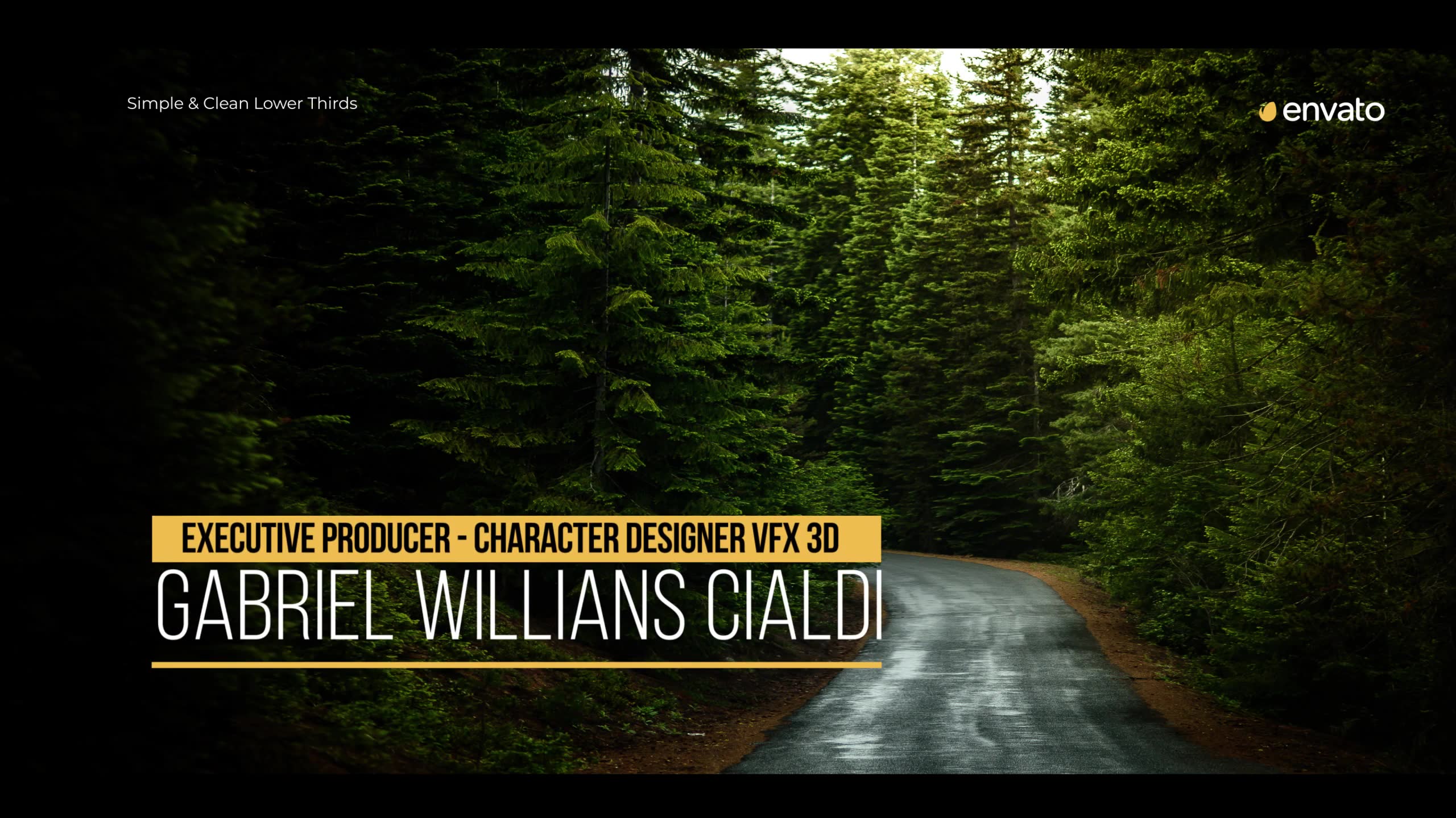 Simplicity Lower Thirds for Premiere Videohive 38518660 Premiere Pro Image 4