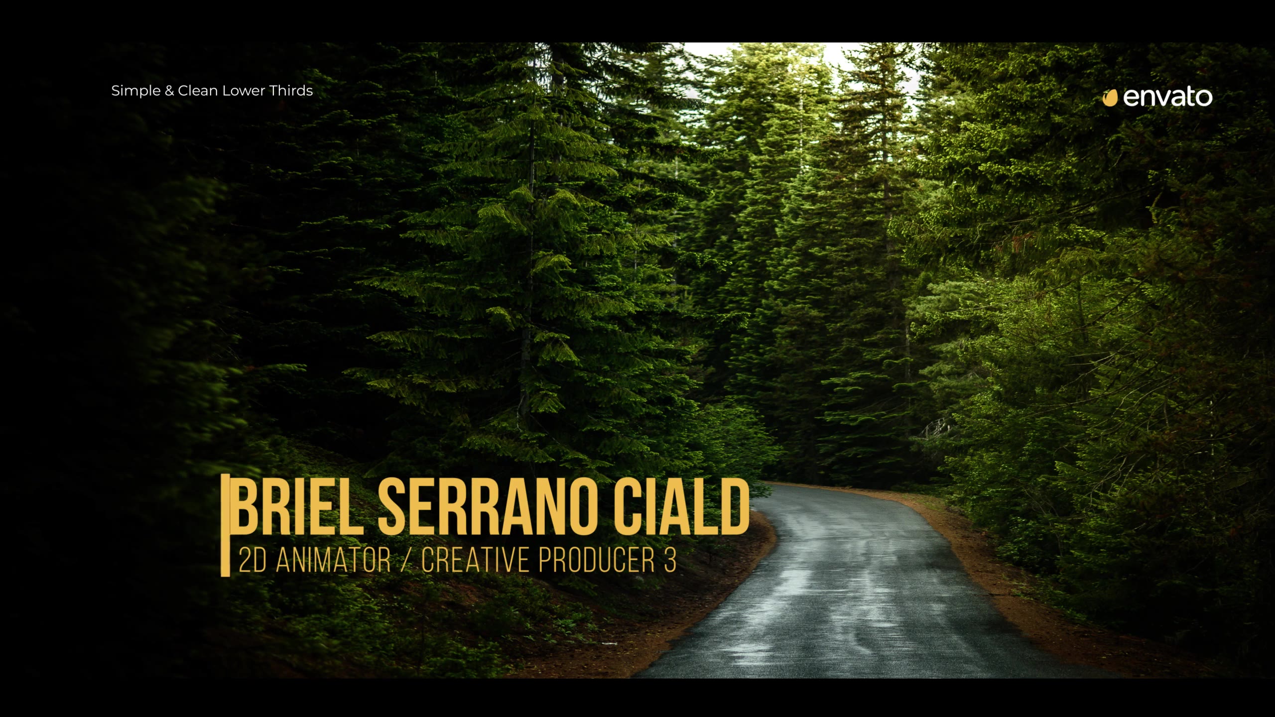 Simplicity Lower Thirds for Premiere Videohive 38518660 Premiere Pro Image 5