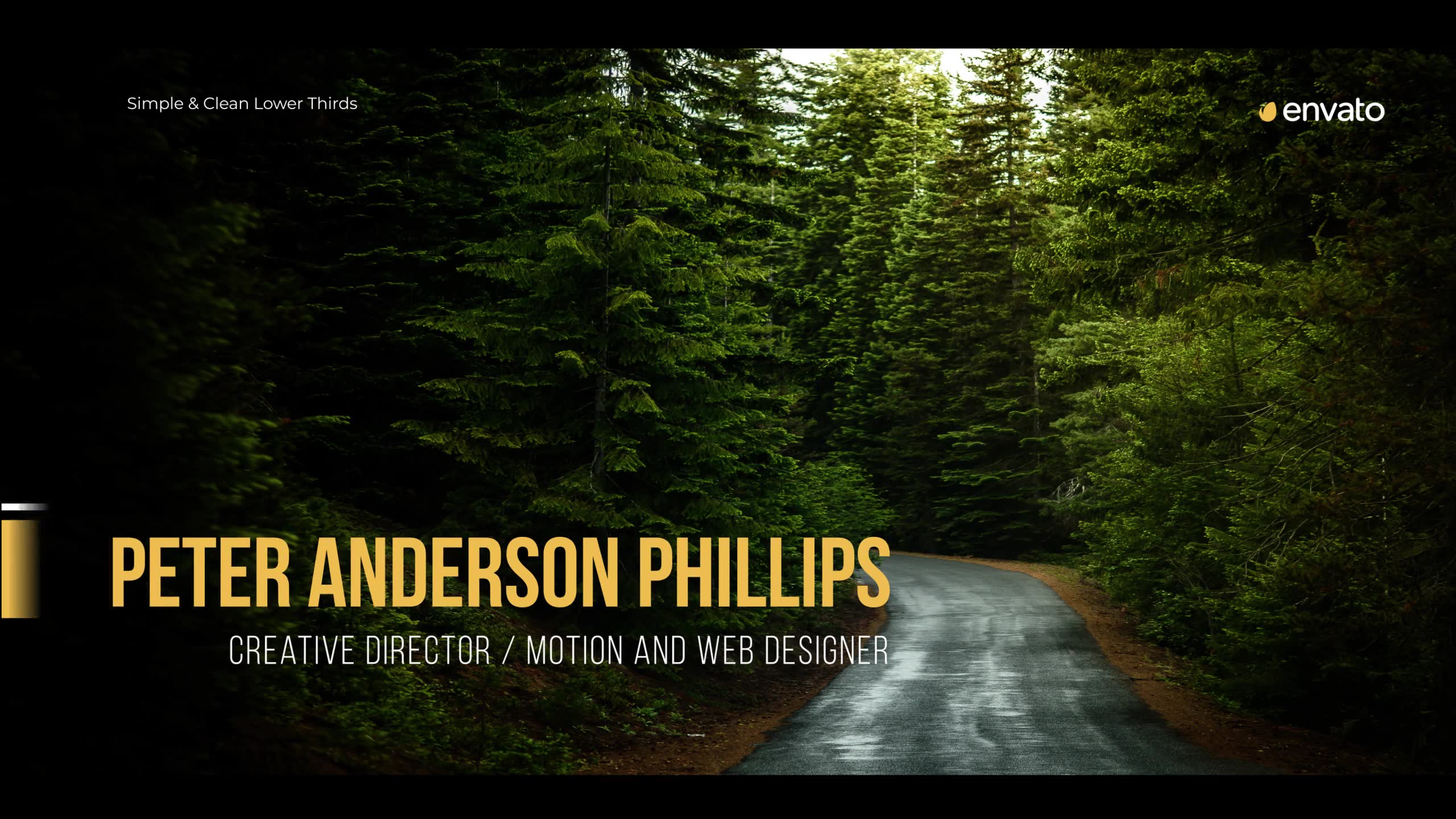 Simplicity Lower Thirds for Premiere Videohive 38518660 Premiere Pro Image 7