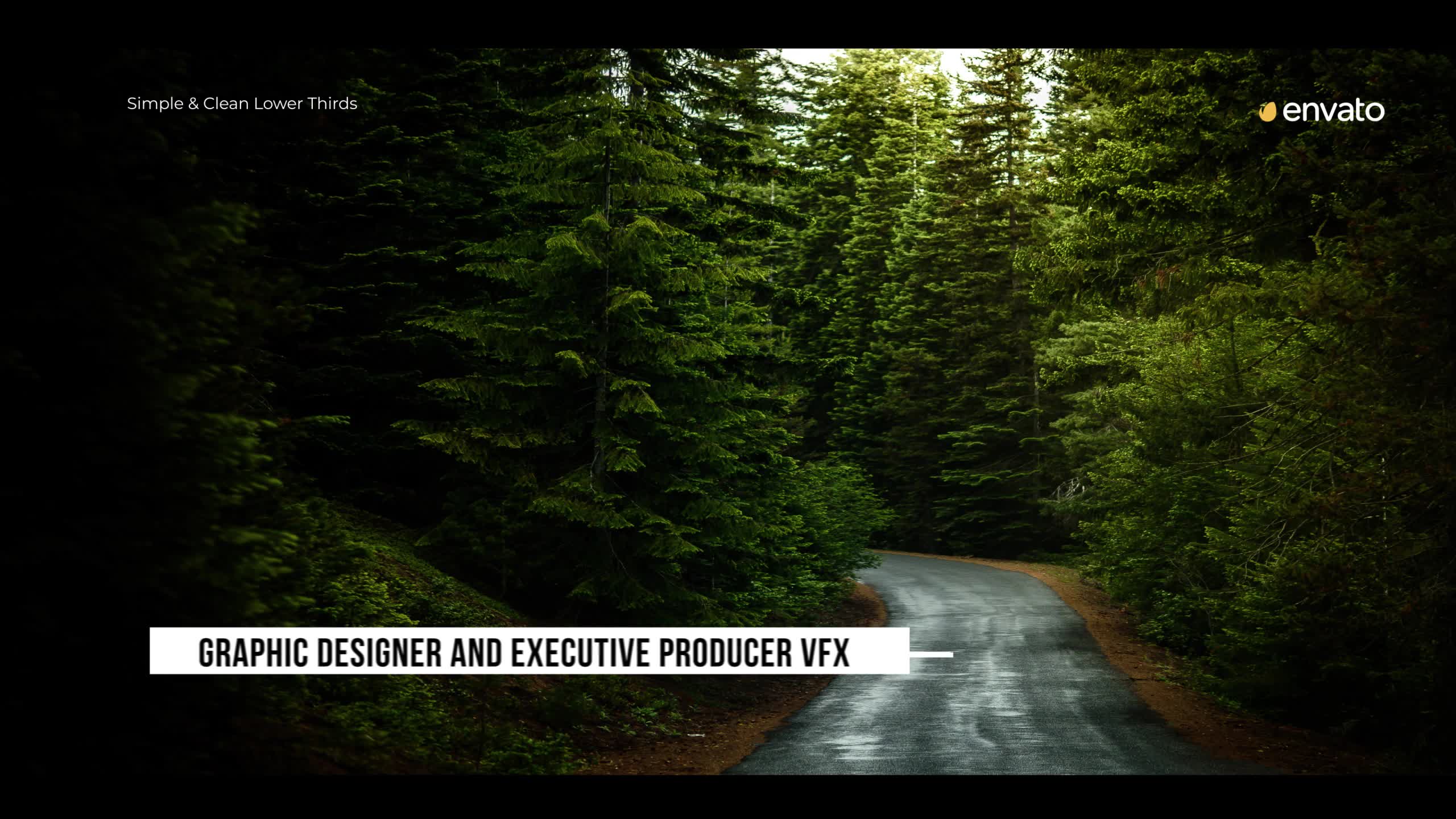 Simplicity Lower Thirds for Premiere Videohive 38518660 Premiere Pro Image 8