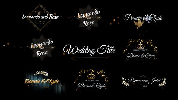 Six Beautiful Wedding Title - Download 24464075 Videohive