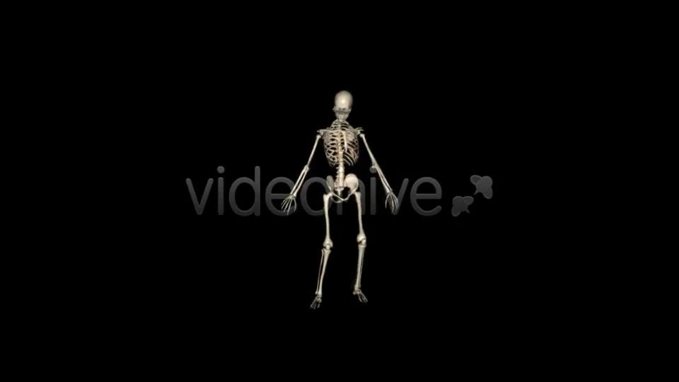 Skeleton Funny Dance Videohive 1558243 Motion Graphics Image 1
