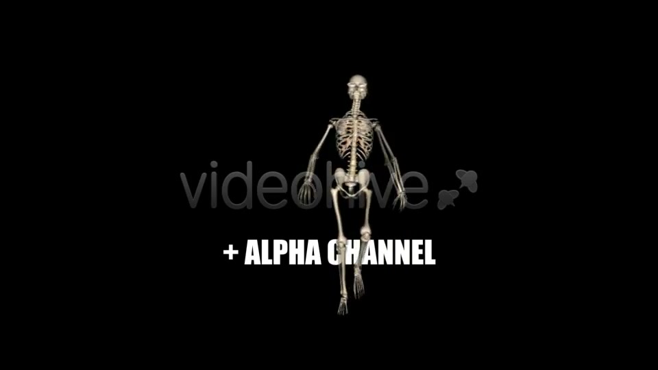 Skeleton Funny Dance Videohive 1558243 Motion Graphics Image 10