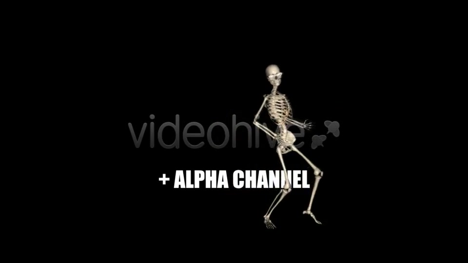 Skeleton Funny Dance Videohive 1558243 Motion Graphics Image 11