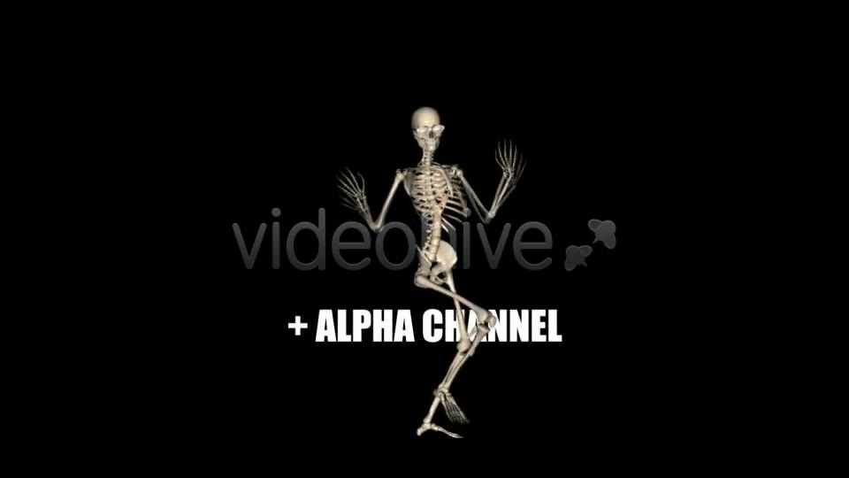 Skeleton Funny Dance Videohive 1558243 Motion Graphics Image 2