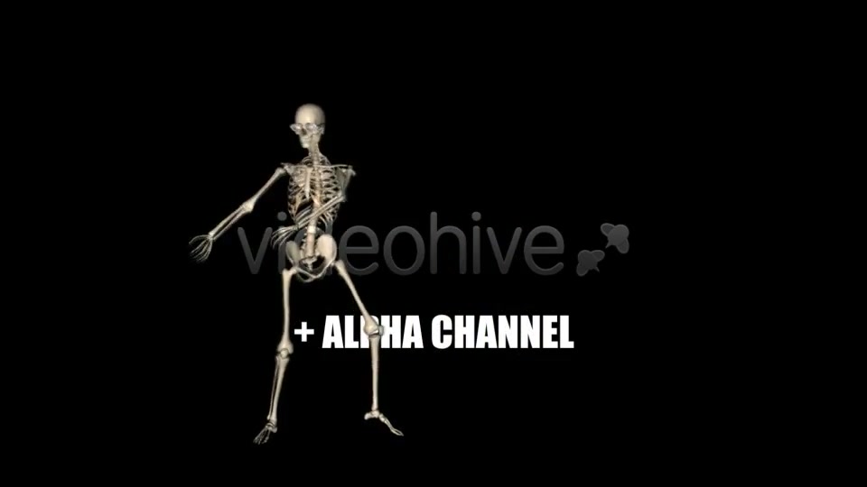 Skeleton Funny Dance Videohive 1558243 Motion Graphics Image 3