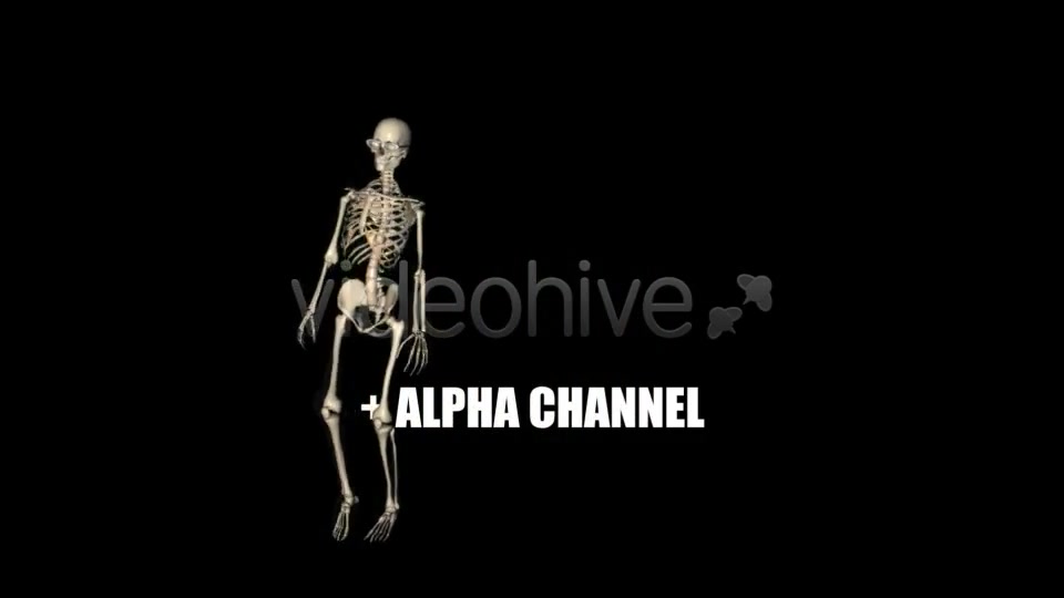 Skeleton Funny Dance Videohive 1558243 Motion Graphics Image 4