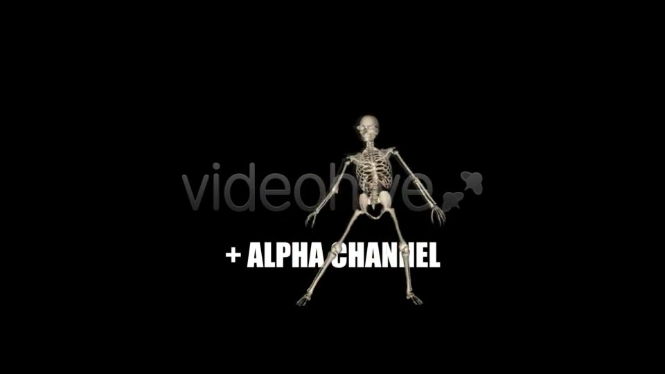 Skeleton Funny Dance Videohive 1558243 Motion Graphics Image 5
