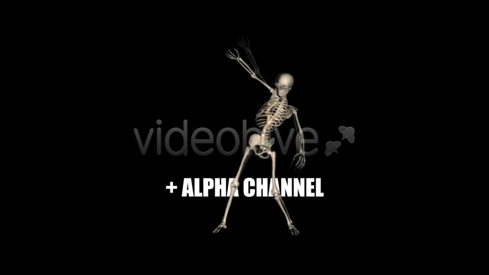 Skeleton Funny Dance Videohive 1558243 Motion Graphics Image 7
