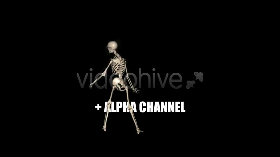 Skeleton Funny Dance Videohive 1558243 Motion Graphics Image 8