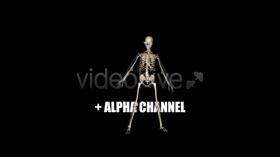 Skeleton Funny Dance Videohive 1558243 Motion Graphics Image 9
