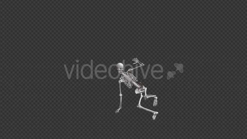 Skeleton HipHop Dance - Download Videohive 17467935