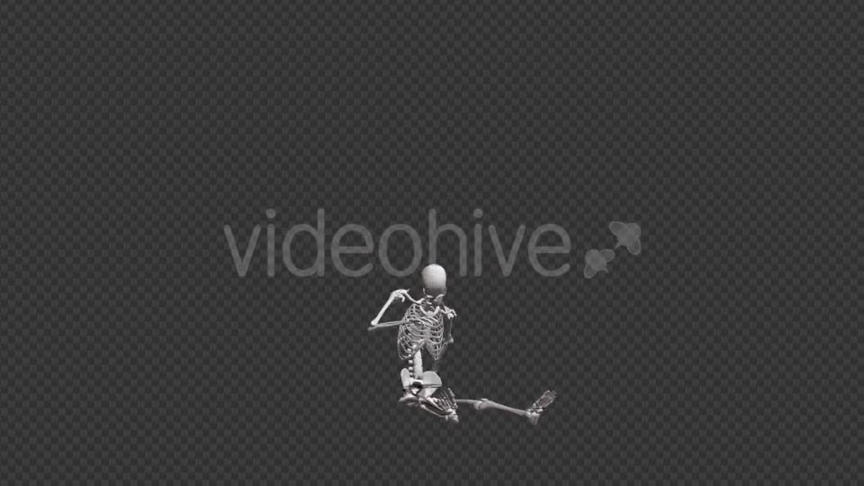 Skeleton HipHop Dance - Download Videohive 17467935