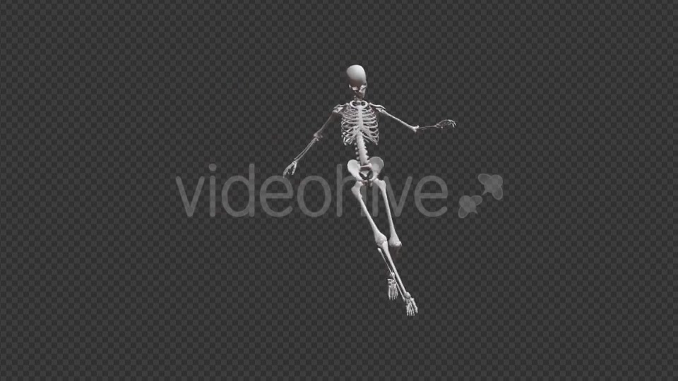 Skeleton HipHop Dance - Download Videohive 17467935
