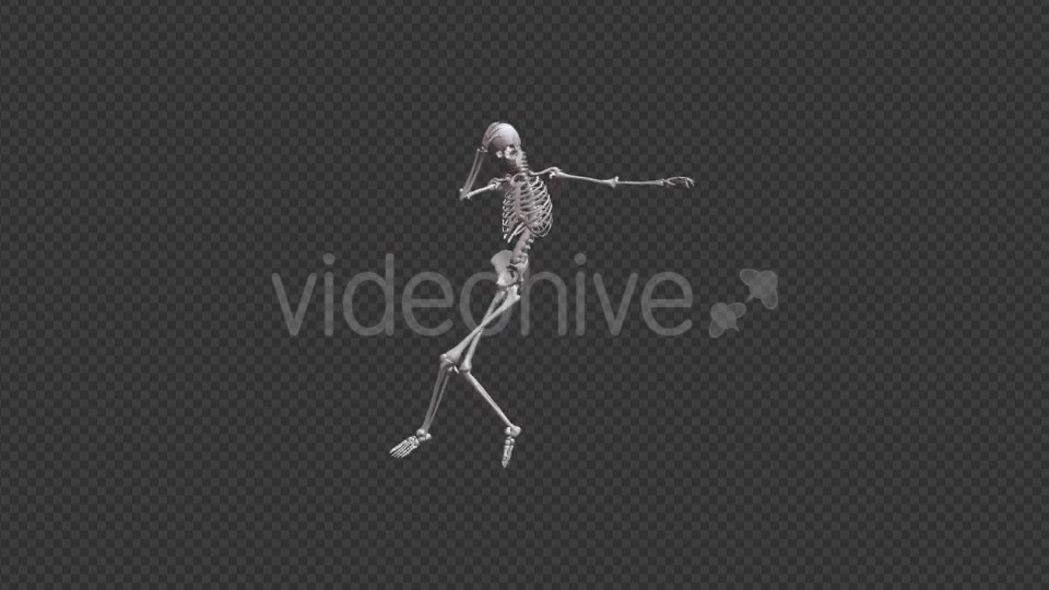 Skeleton HipHop Dance - Download Videohive 17467935