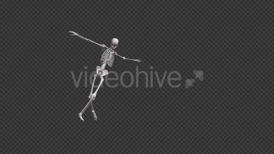 Skeleton HipHop Dance - Download Videohive 17467935