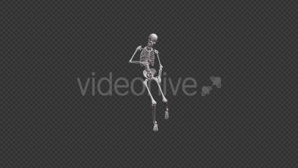 Skeleton HipHop Dance - Download Videohive 17467935