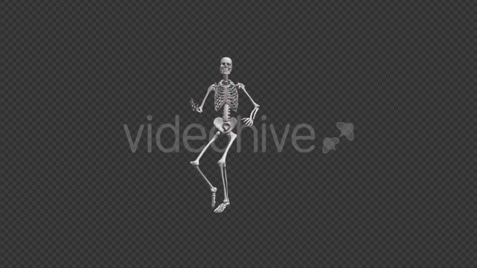 Skeleton HipHop Dance - Download Videohive 17467935