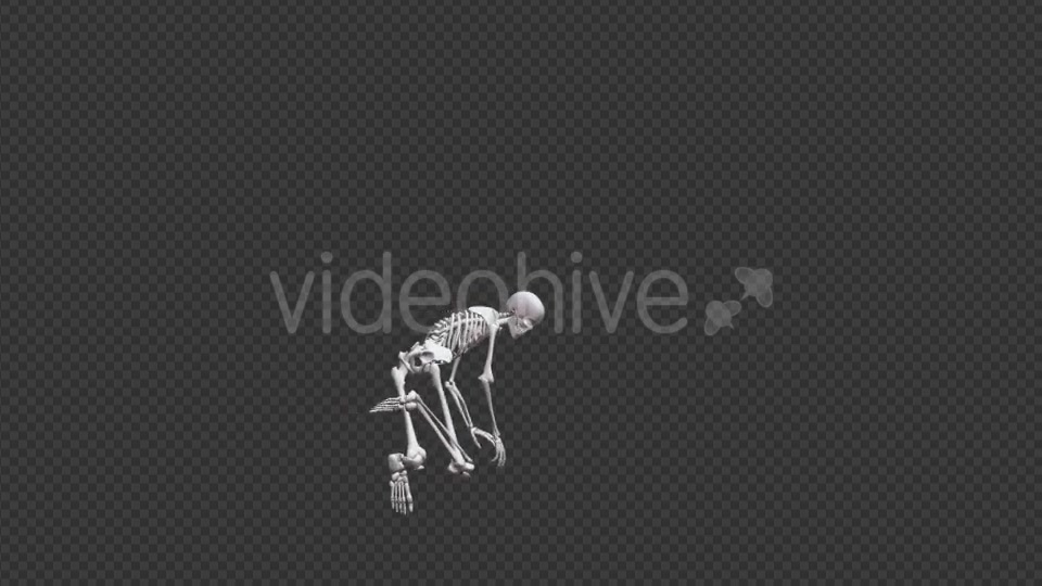 Skeleton HipHop Dance - Download Videohive 17467935