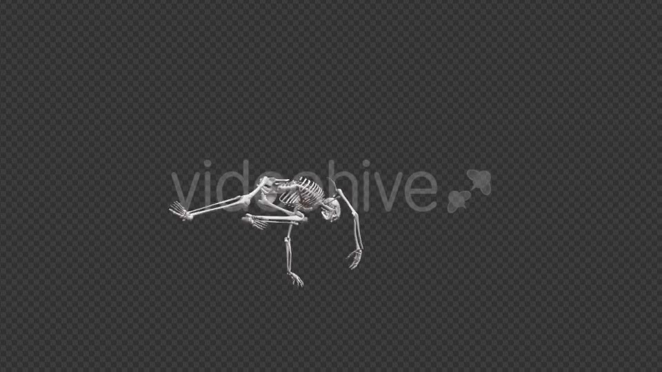 Skeleton HipHop Dance - Download Videohive 17467935