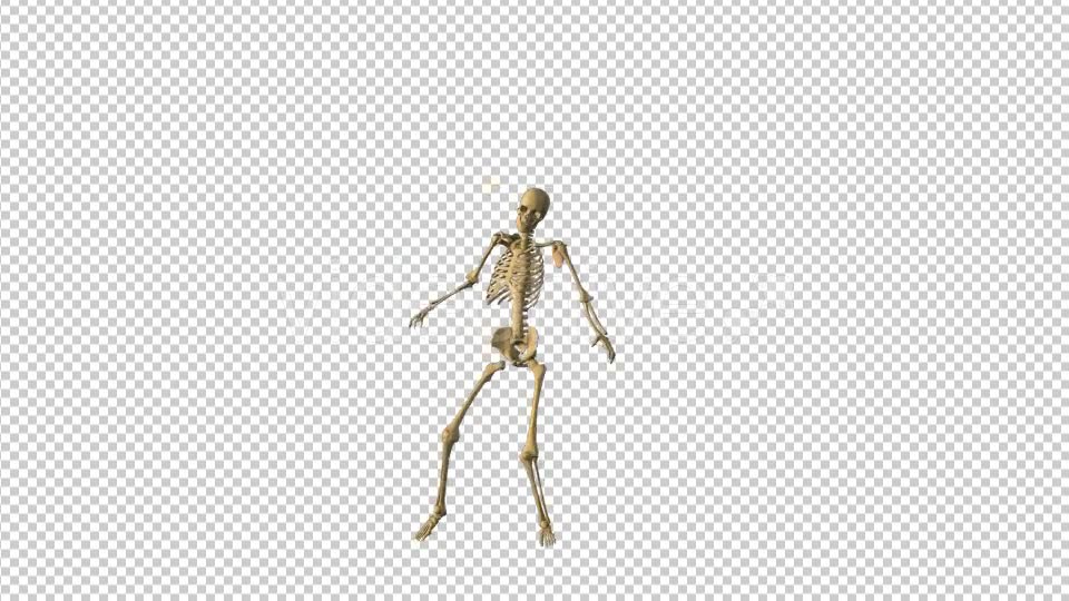 Skeleton Pop Music Dance - Download Videohive 18333091