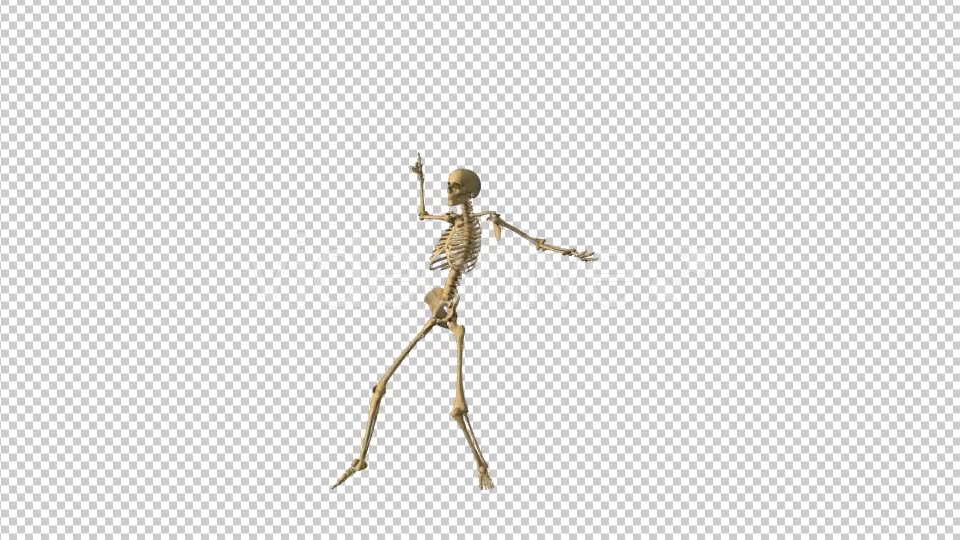 Skeleton Pop Music Dance - Download Videohive 18333091