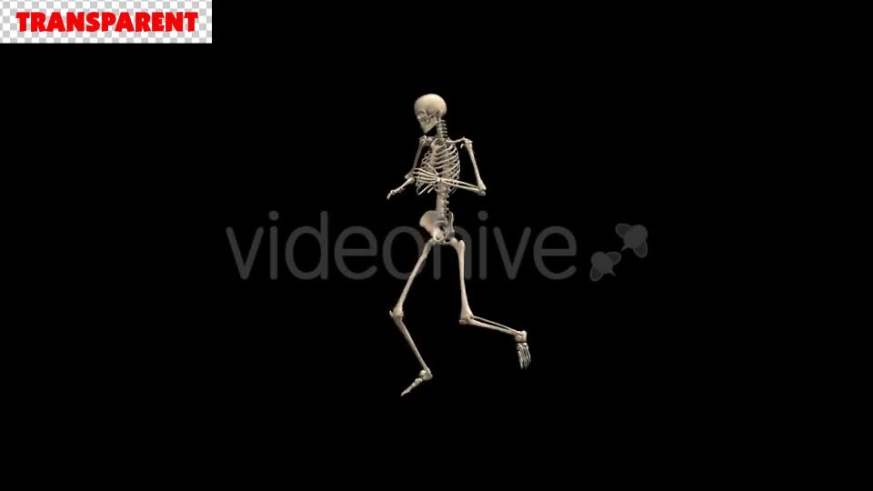 Skeleton Street Dancer - Download Videohive 18598425