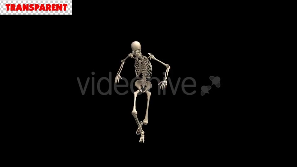 Skeleton Street Dancer - Download Videohive 18598425