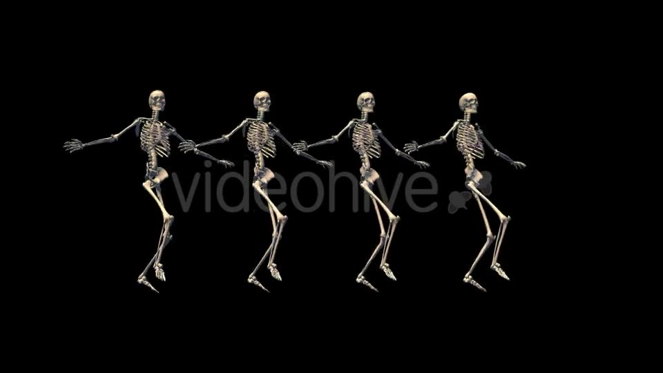 Skeletons Can Can Dance - Download Videohive 17570008