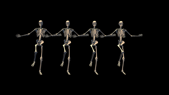 Skeletons Can Can Dance - Download Videohive 17570008