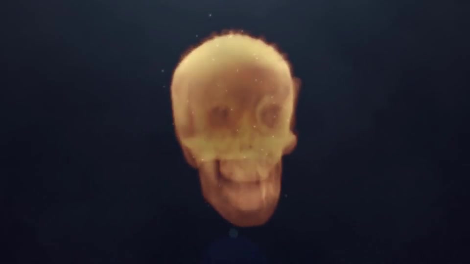 Skull Logo Reveal - Download Videohive 19778999