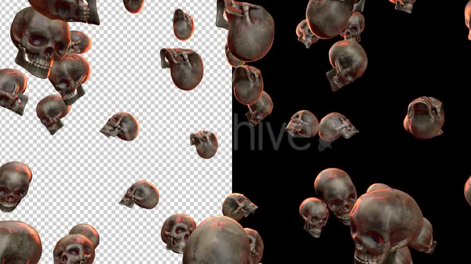 Skulls - Download Videohive 20709495