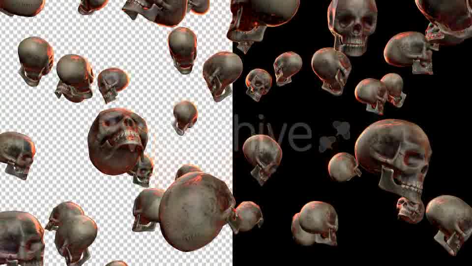 Skulls - Download Videohive 20709495