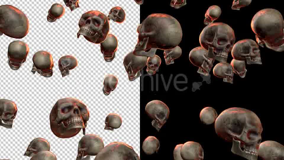 Skulls - Download Videohive 20709495