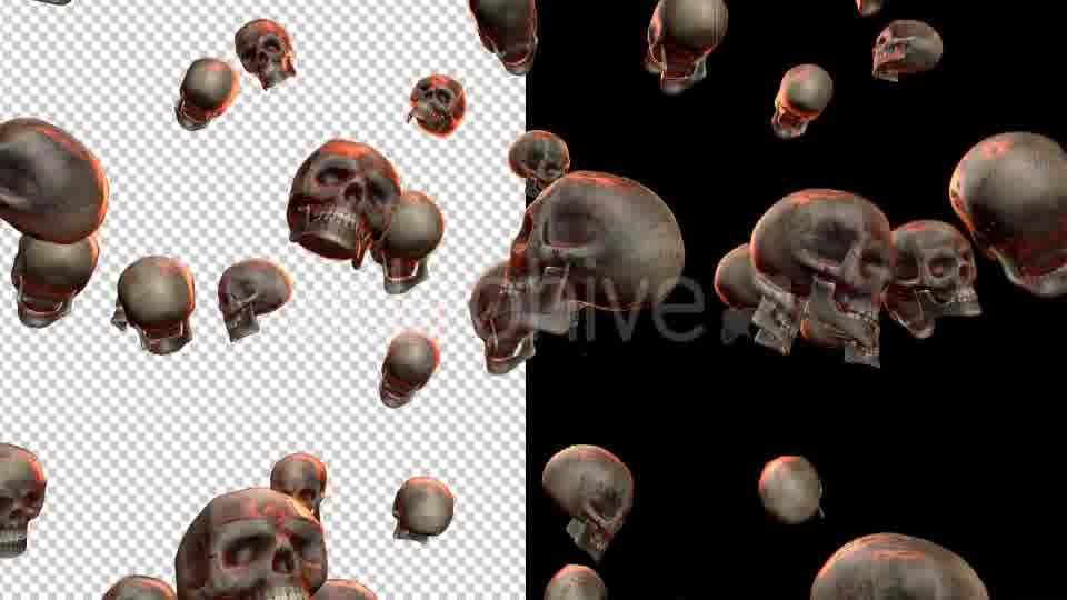 Skulls - Download Videohive 20709495