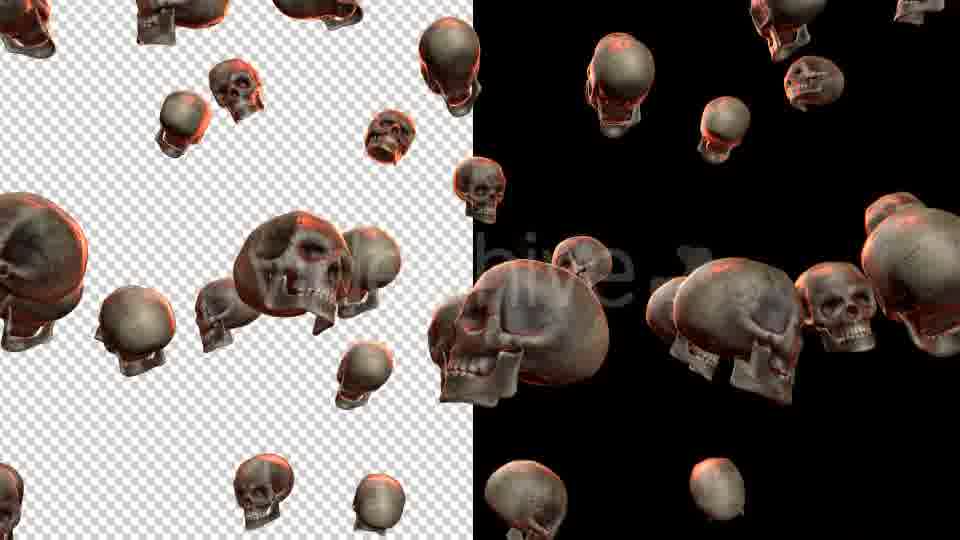 Skulls - Download Videohive 20709495