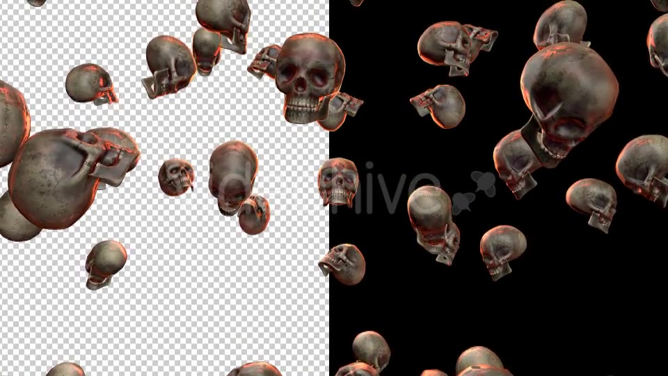 Skulls - Download Videohive 20709495