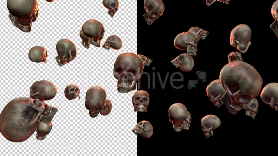 Skulls - Download Videohive 20709495