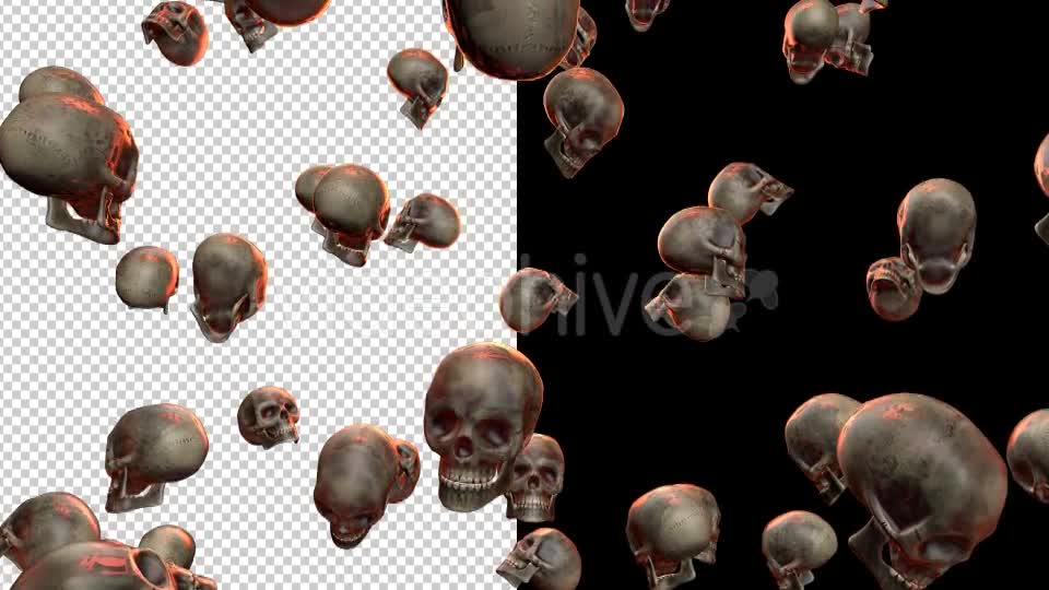 Skulls - Download Videohive 20709495