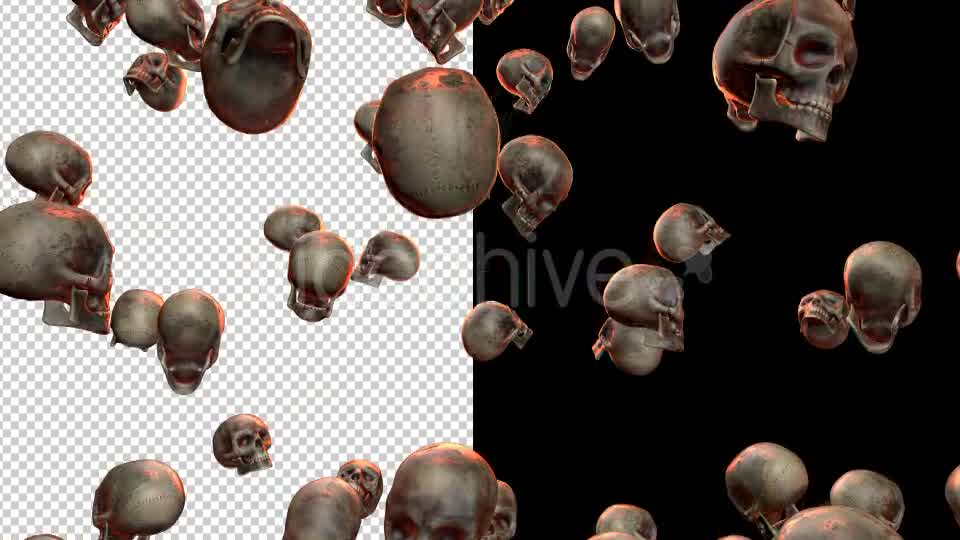 Skulls - Download Videohive 20709495