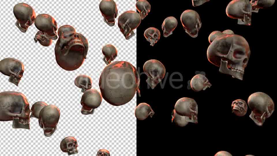 Skulls - Download Videohive 20709495