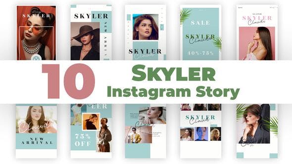 Skyler Instagram Story - Download 34768255 Videohive