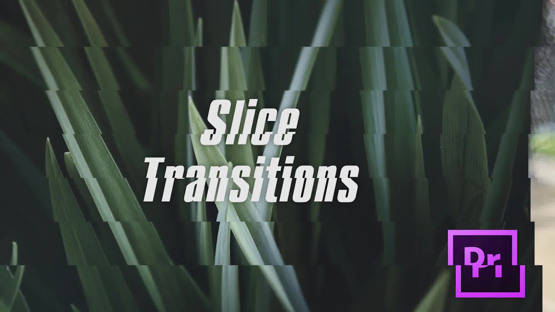 Slice Transitions - Download Videohive 21529538