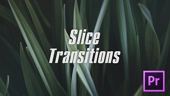 Slice Transitions - Download Videohive 21529538