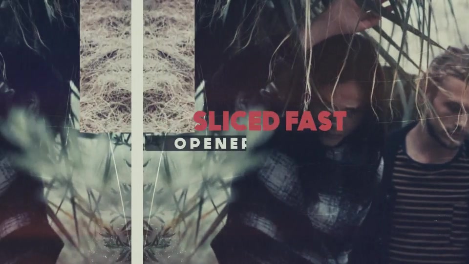 Sliced Fast Opener - Download Videohive 15802247