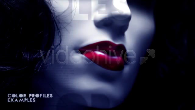 Slices Slideshow Videohive 2804421 After Effects Image 10
