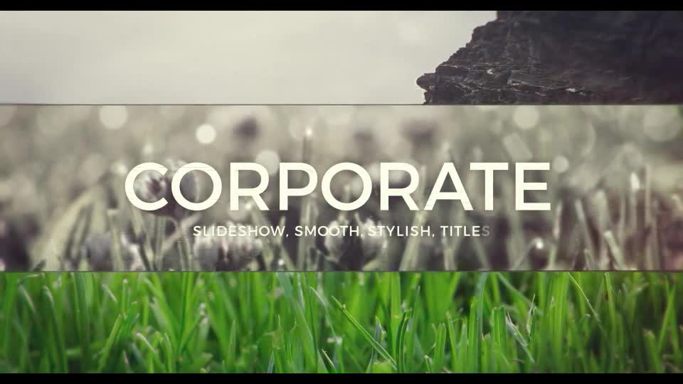 Slide for Business - Download Videohive 12462234