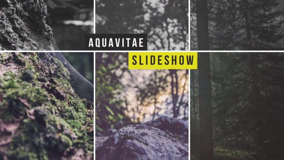 Slideshow - Download Videohive 10341731